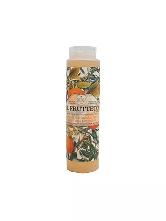 NESTI DANTE | Shower Gel Olive & Tangerine 300ml | 